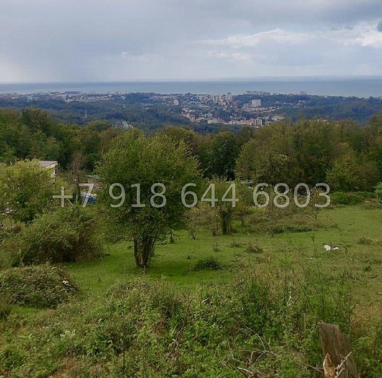 № 12 у. Земля в Адлере  - миниатюра 4