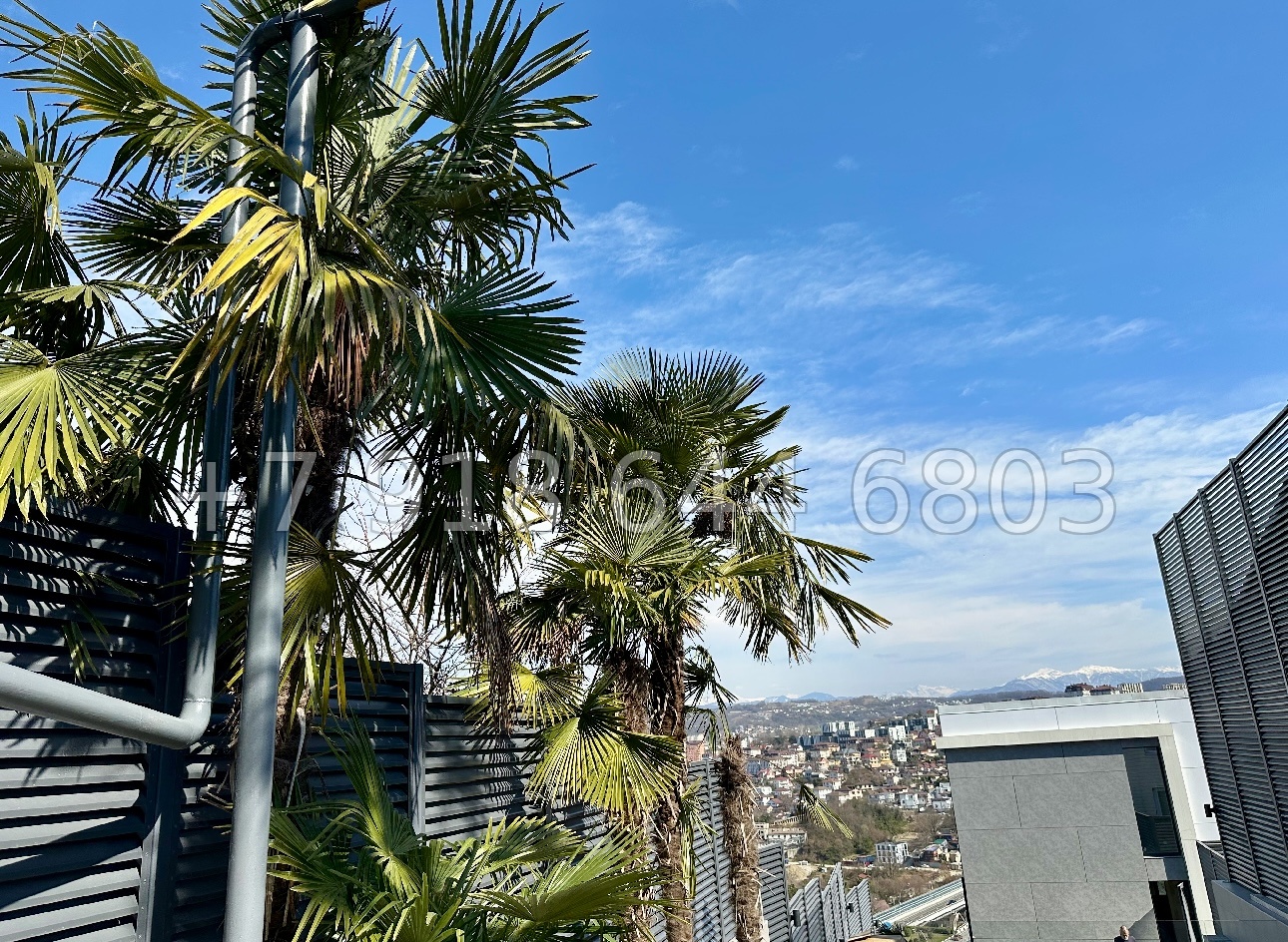 № 43м. Дом в центре города Сочи с видом на гору Ахун - миниатюра 5