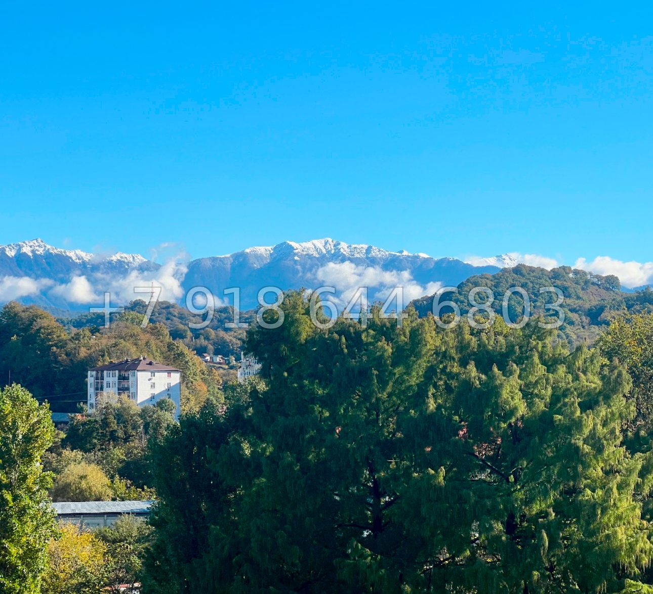 № 27р. Квартира в Адлере. Рядом со школой  - миниатюра 14