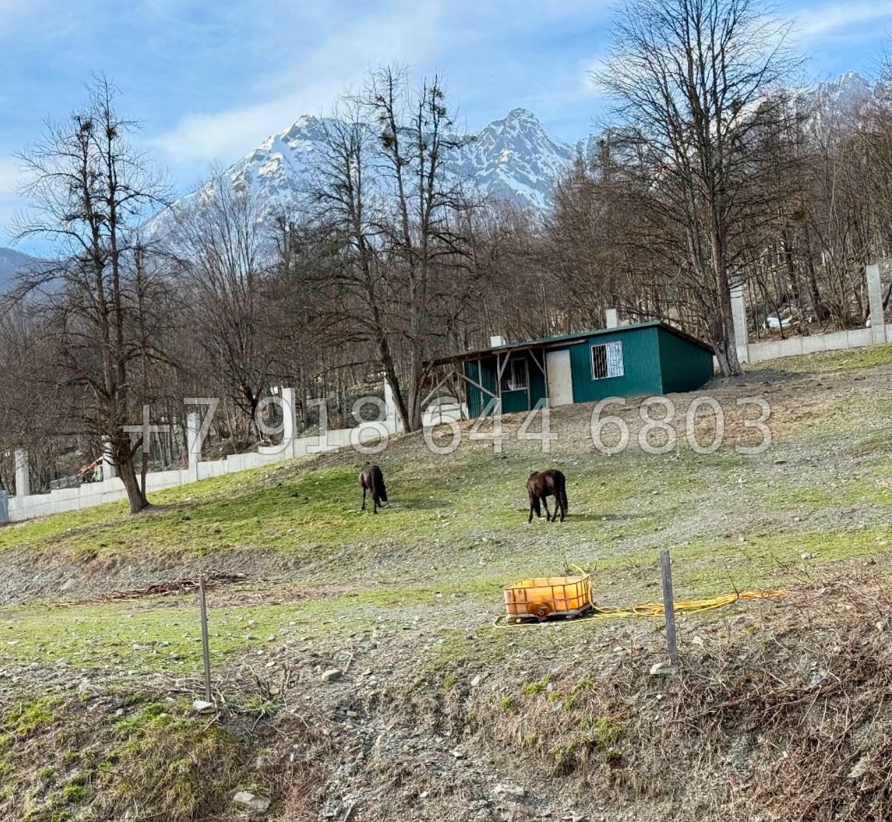 № 45 п. Дом на Красной Поляне  - миниатюра 7