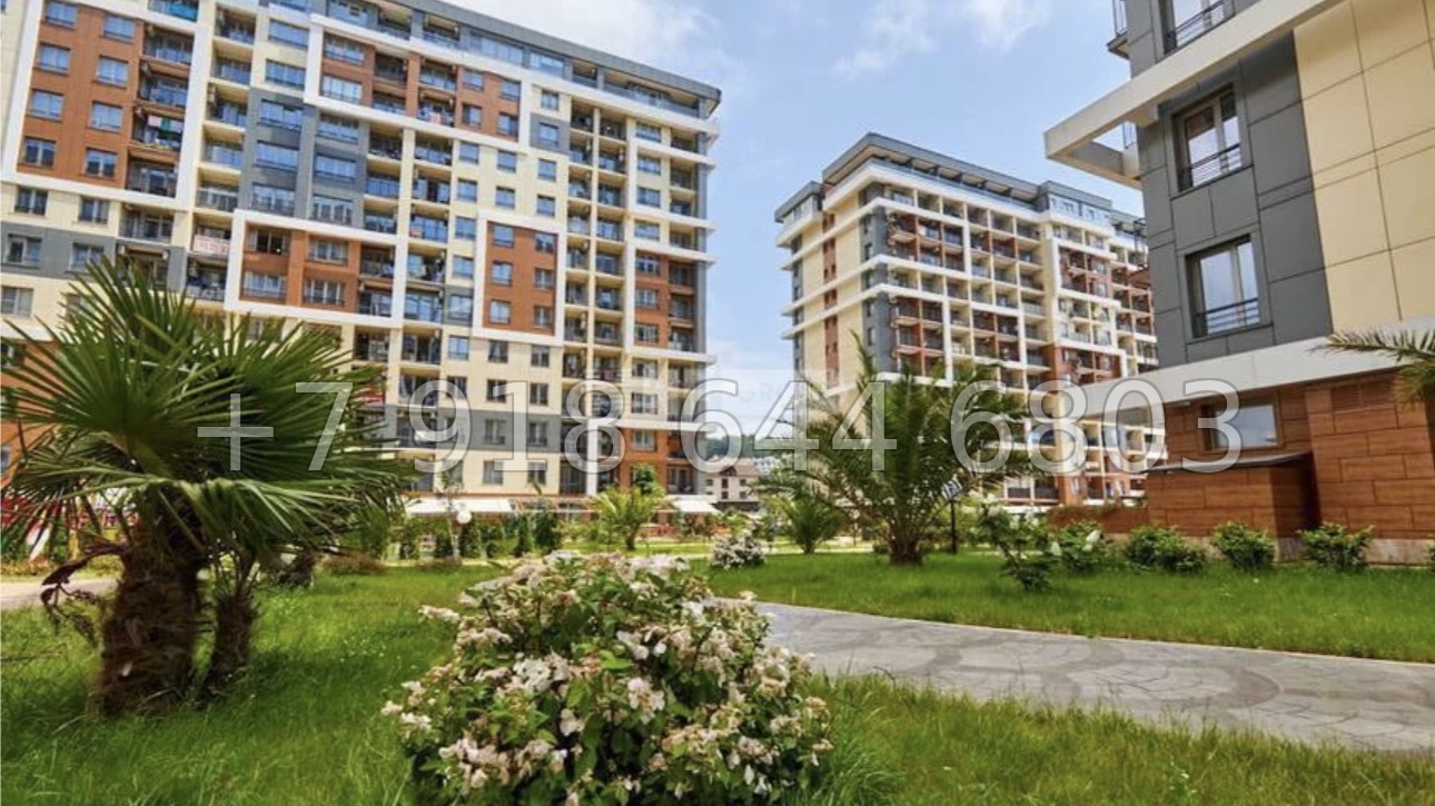 № 305 р. Две квартиры у моря в Сочи - миниатюра 2