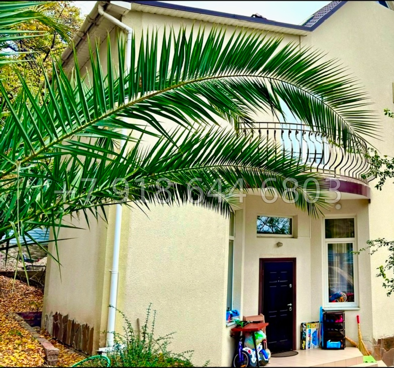 № 14 н. Дом в Ялте  - миниатюра 3