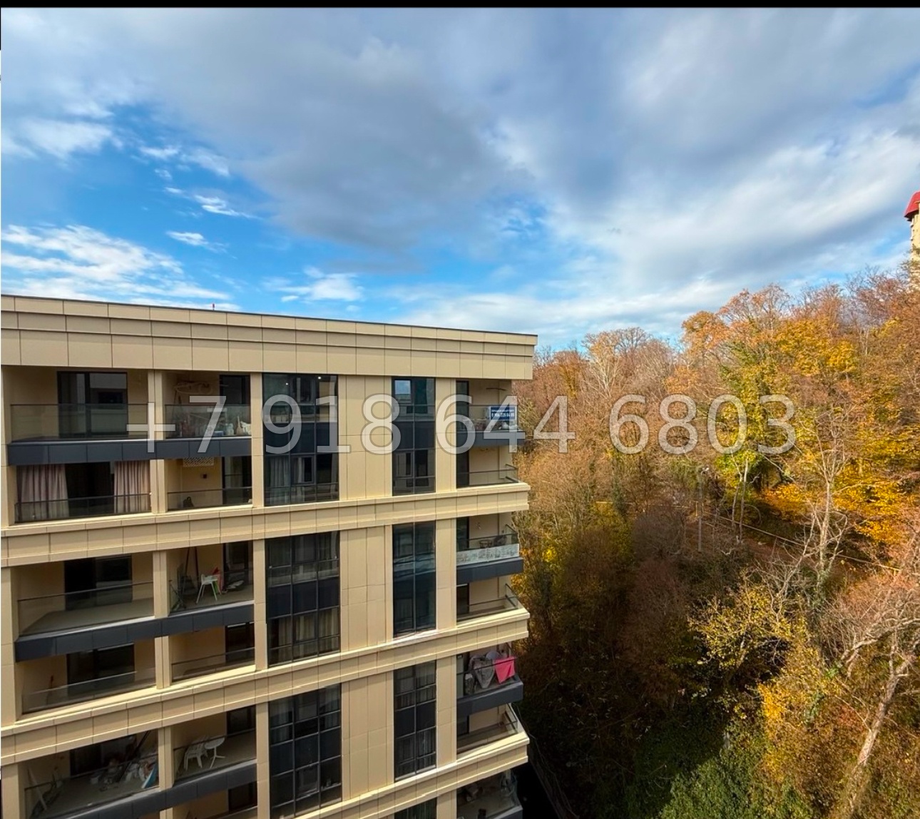 № 199 п. ЖК Южный Парк Сочи  - миниатюра 3