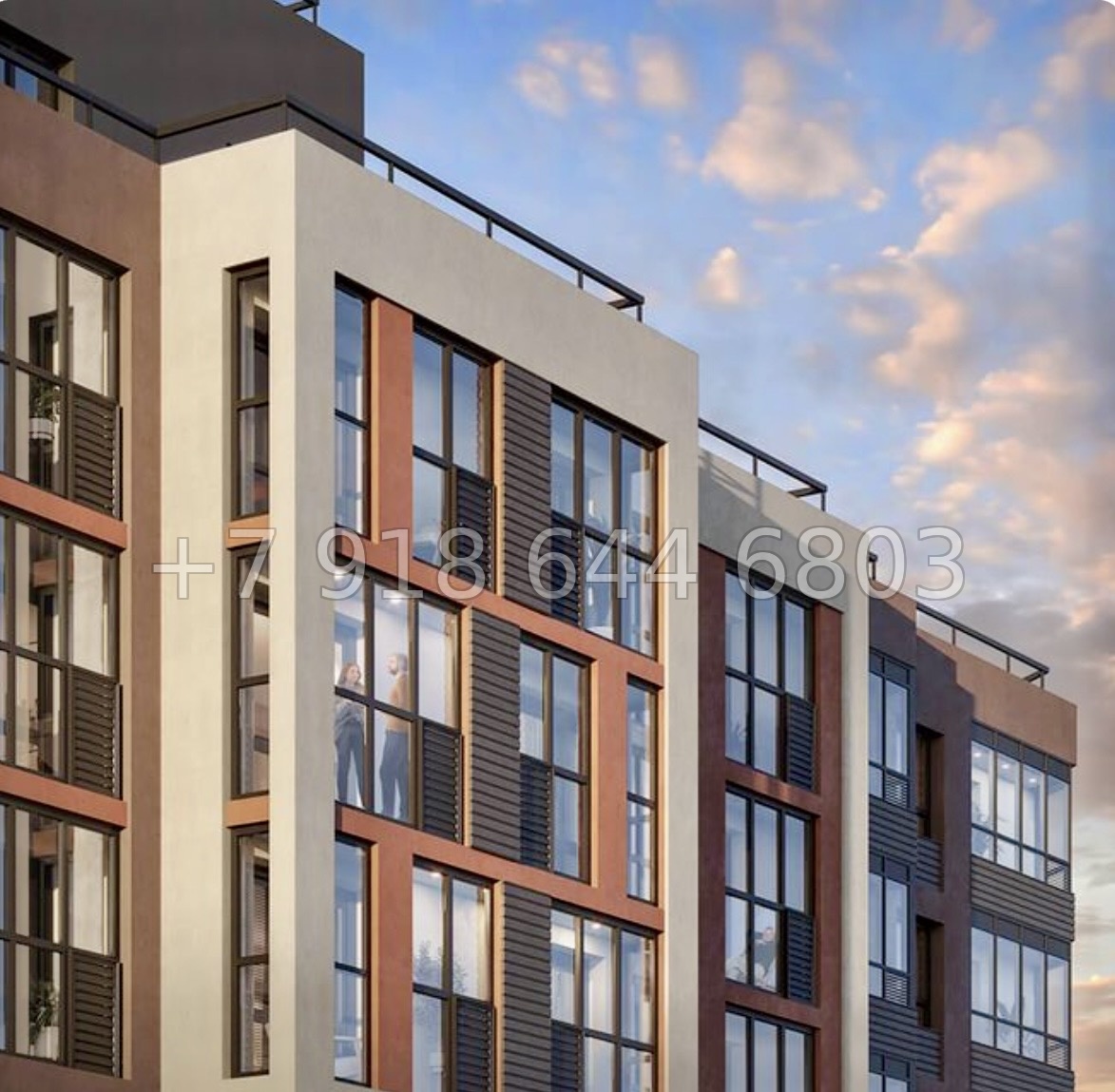 № 84 в. Метро Парнас. ЖК Dogma. Юкки - миниатюра 5