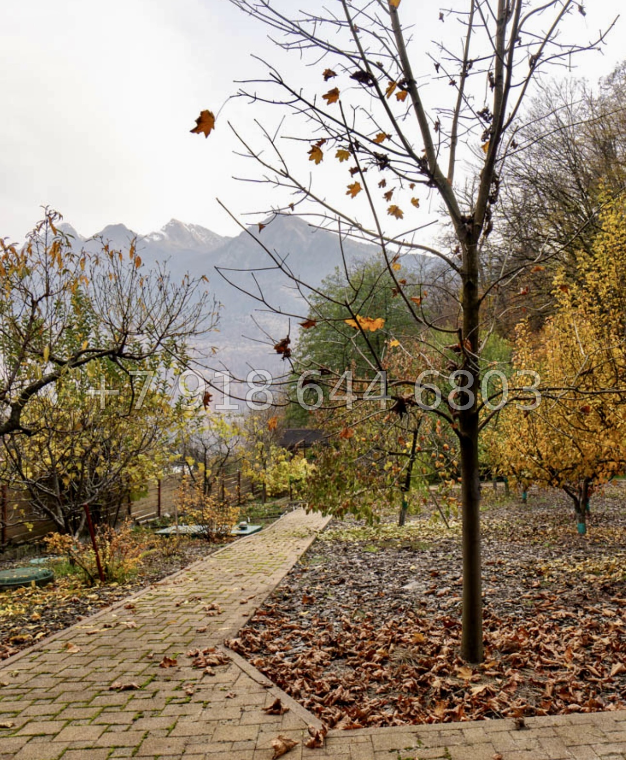 № 8 Д. Дом на Красной Поляне с бассейном  - миниатюра 11