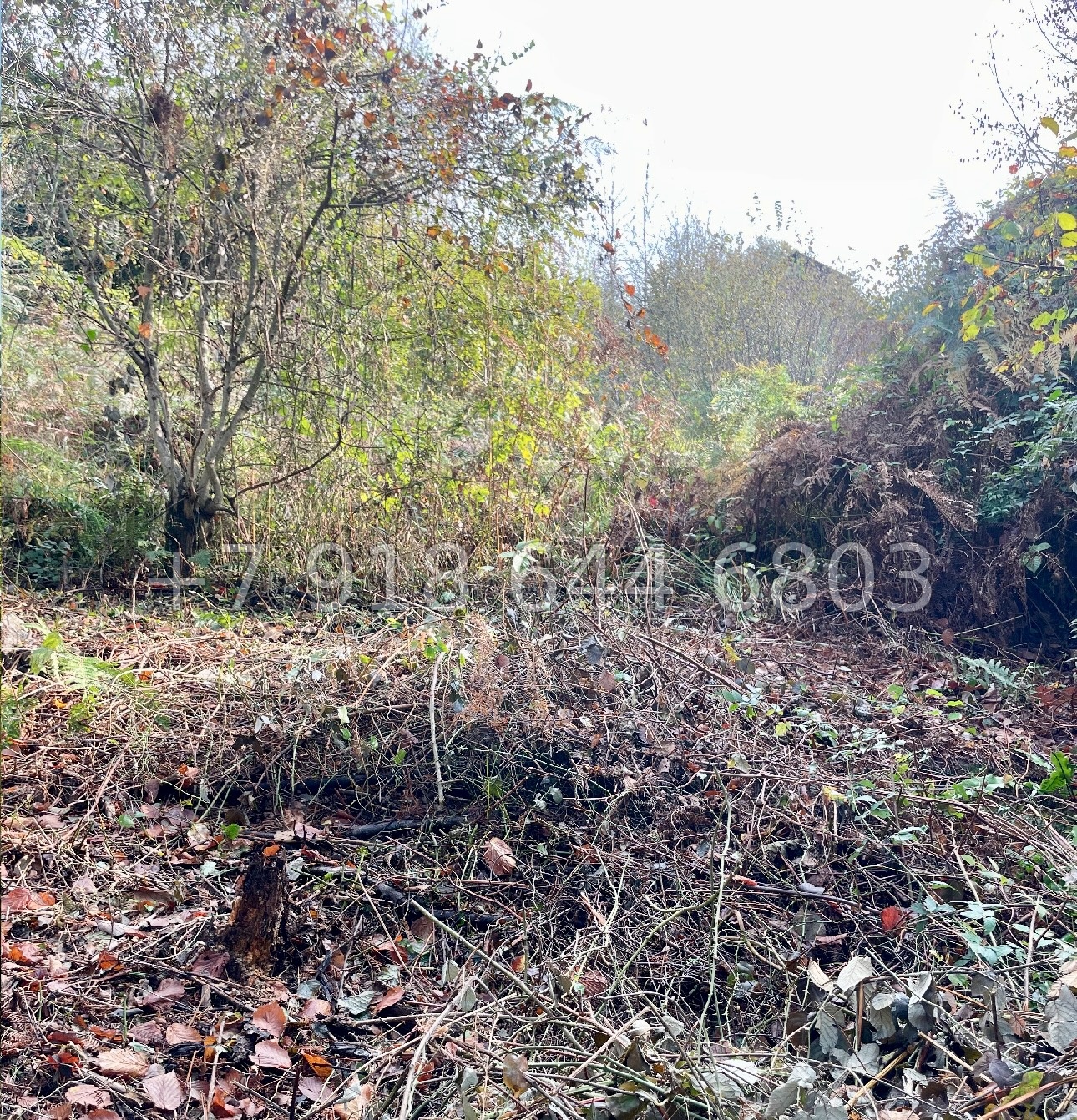 № 65 А. Дом дешевле квартиры. Дом в городе Сочи  - миниатюра 17