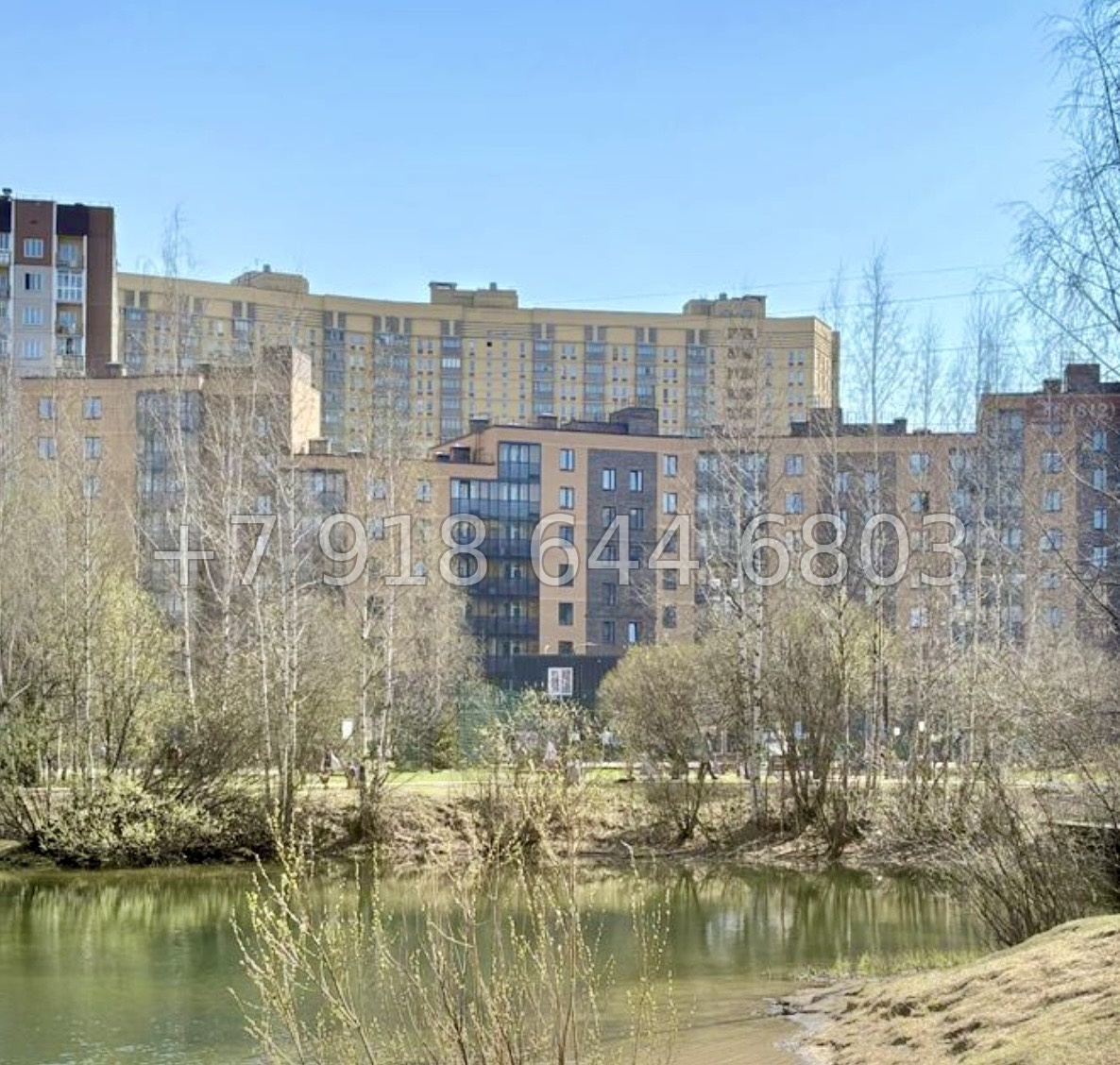 № 82 в. Метро Парнас. ЖК Рождественский квартал  - миниатюра 1