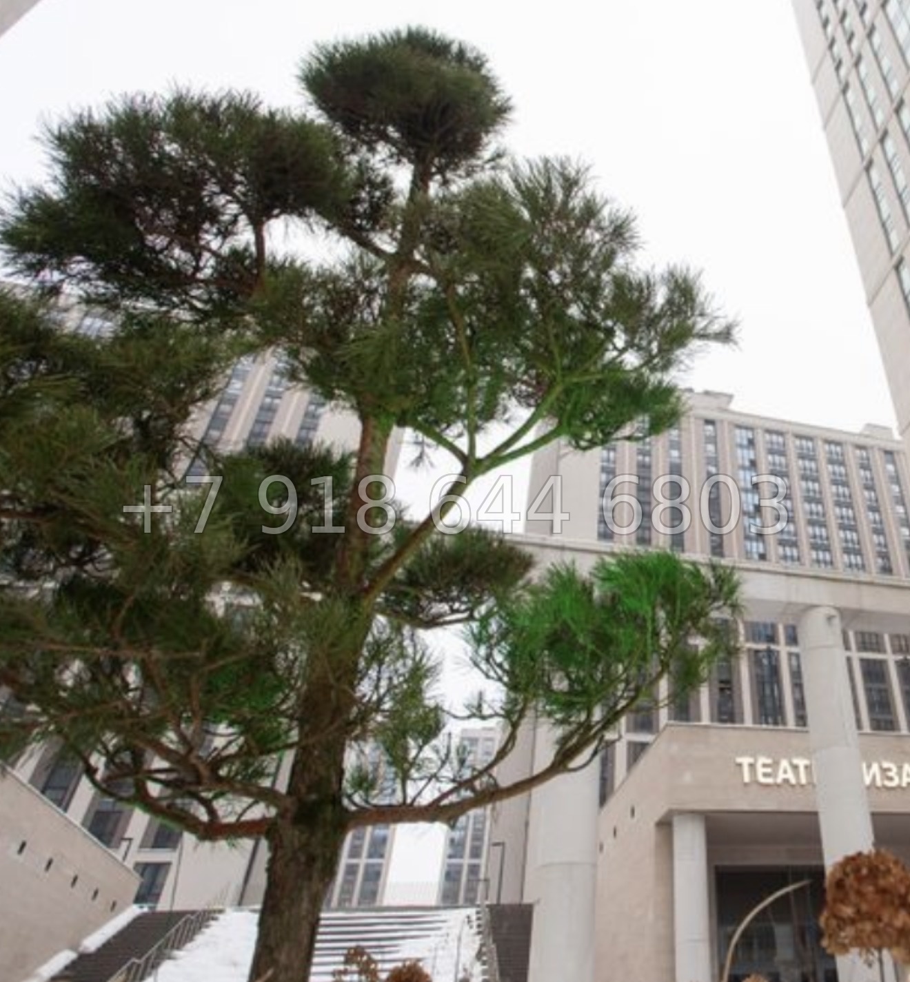 № 61 в. Метро Московская. ЖК Дефанс Санкт Петербург  - миниатюра 26