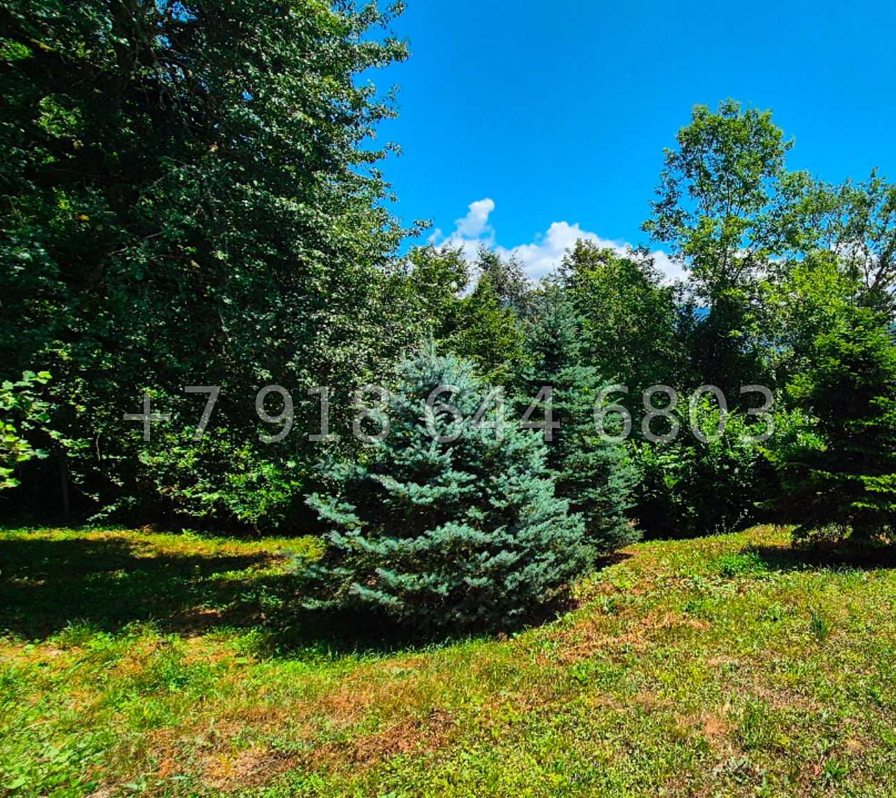 № 41 п. Дом в Медовеевке недалеко от Красной Поляны - миниатюра 11