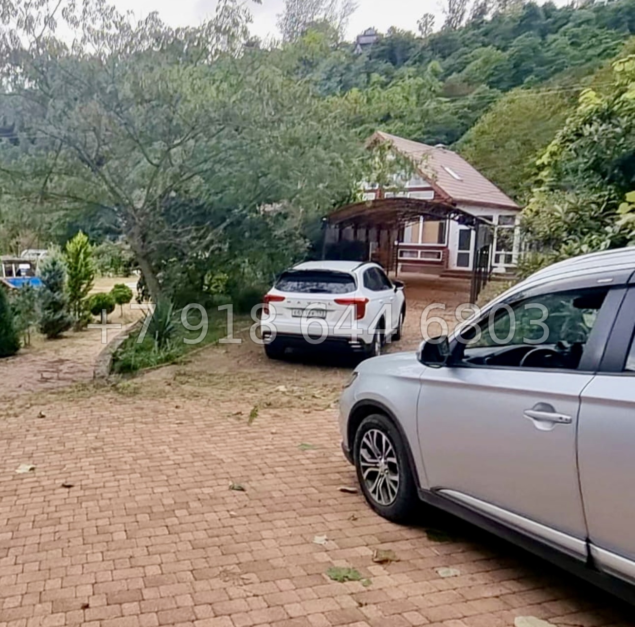 № 72 Б. Дом с озером с карпами в Адлере  - миниатюра 41