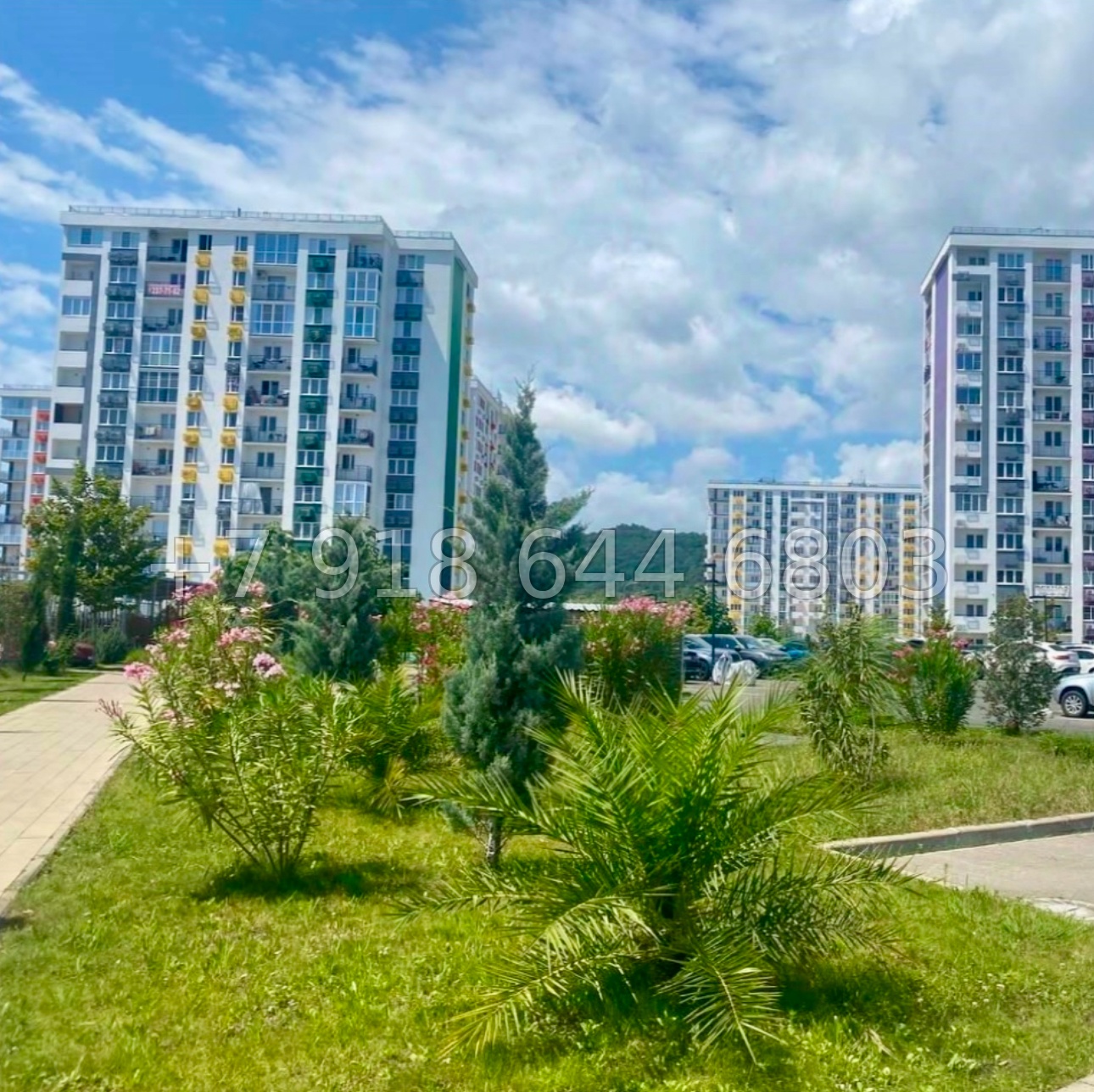 № 55р. Роскошная квартира в Сириусе. ЖК Фрукты Сириус  - миниатюра 11