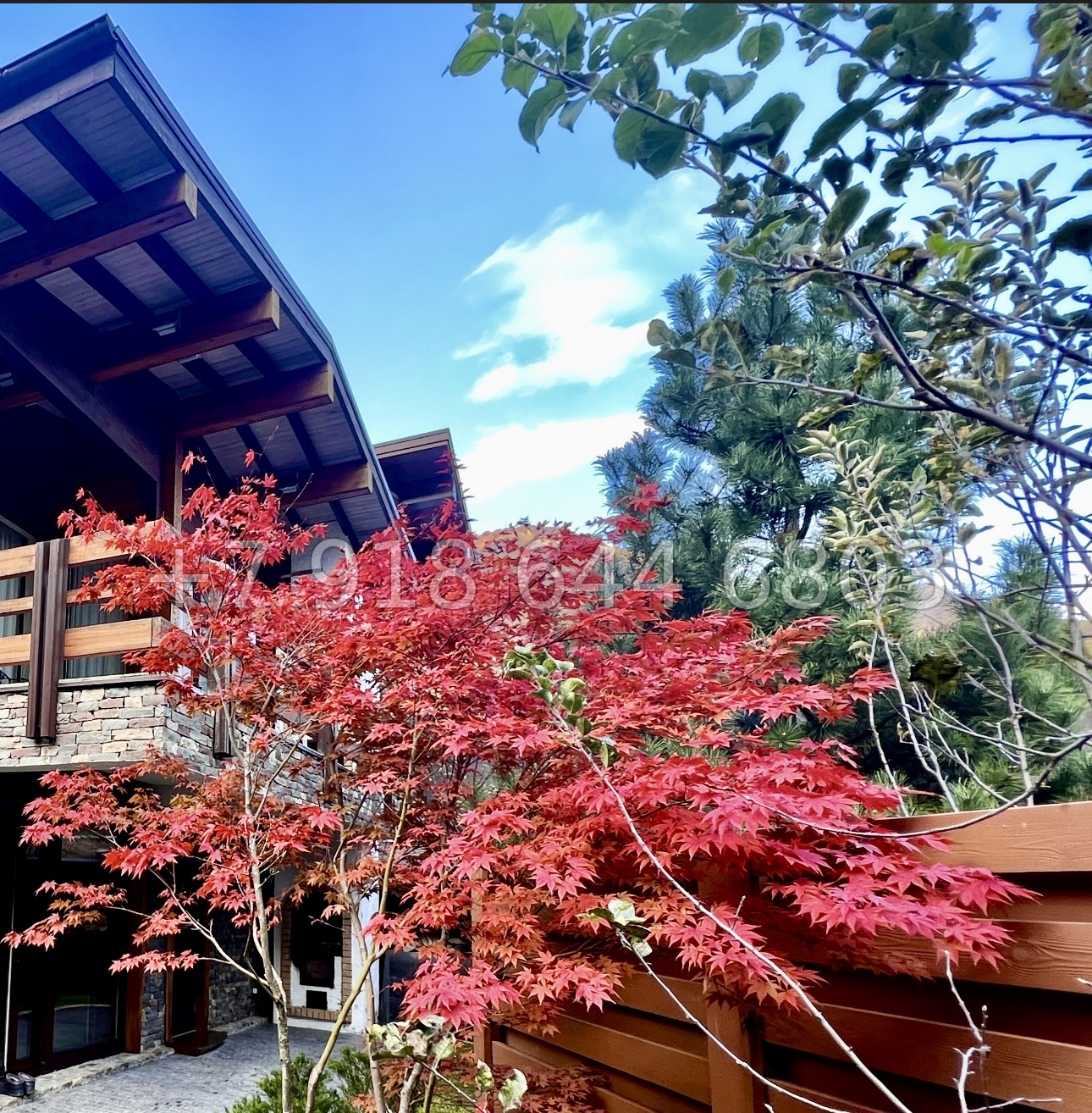 № 4 Д. Дом на Красной Поляне в Сочи  - миниатюра 37