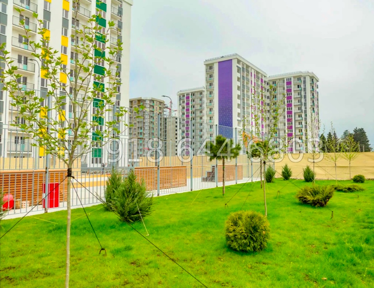 № 103 р. Квартира в Сириусе ЖК Фрукты  - миниатюра 21