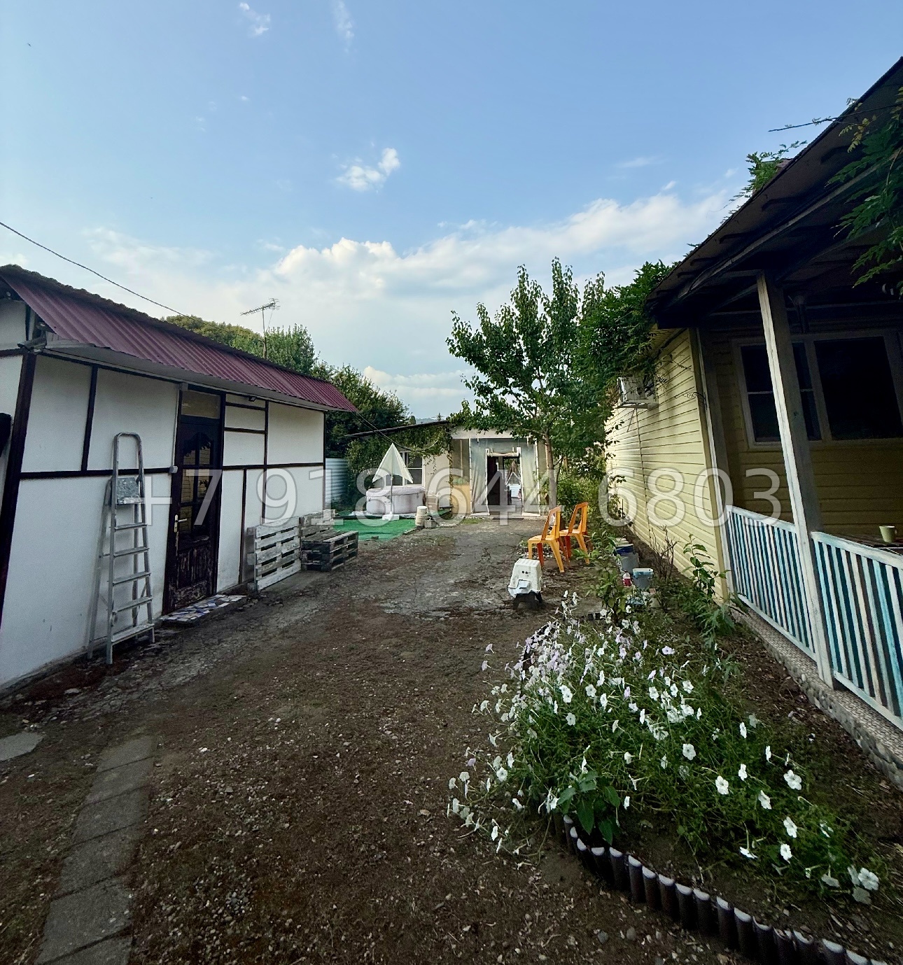 № 5у. Два участка земли в Сириусе  - миниатюра 12