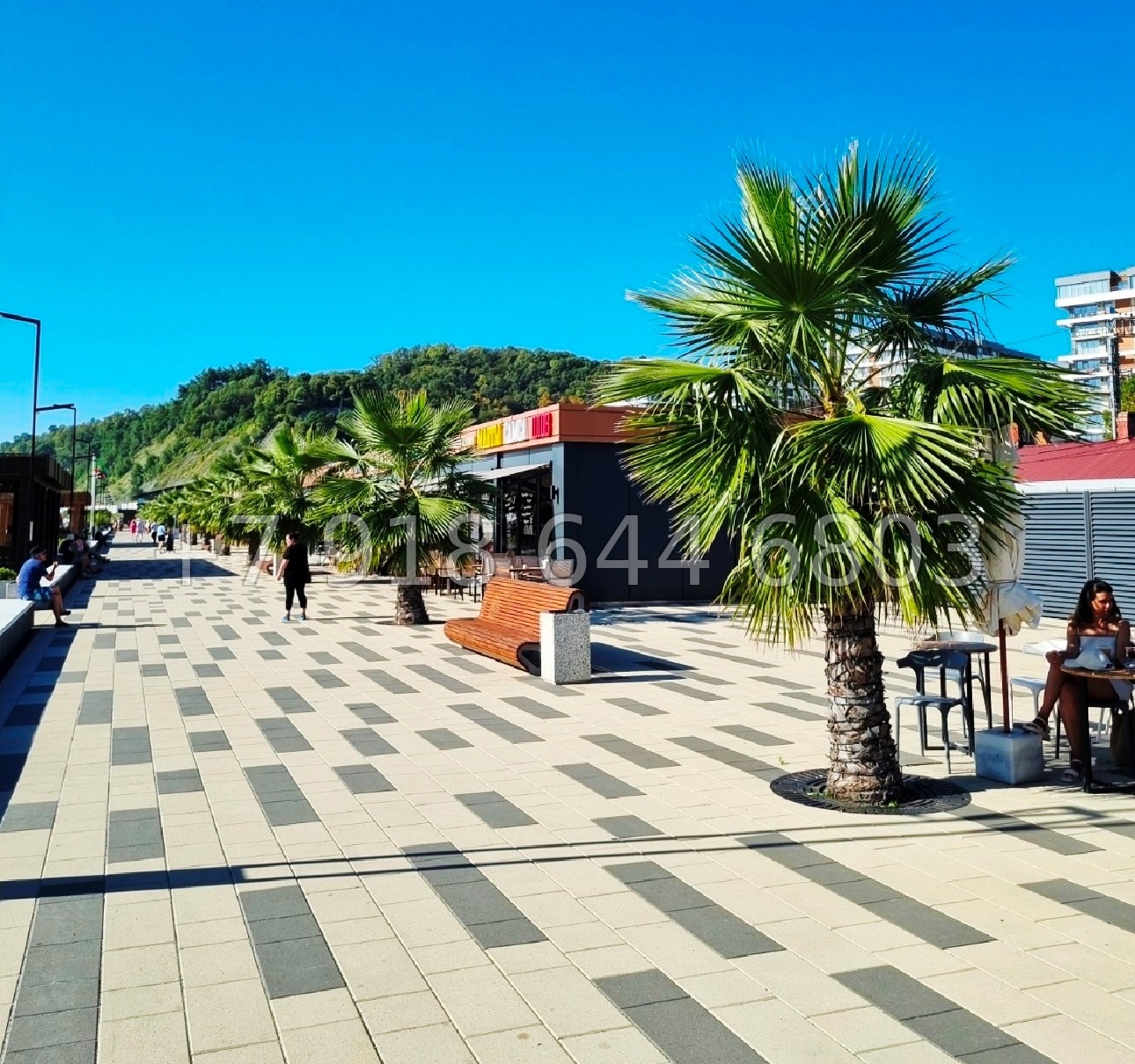 № 193 п. ЖК Аллея Парк Сочи Дагомыс  - миниатюра 4