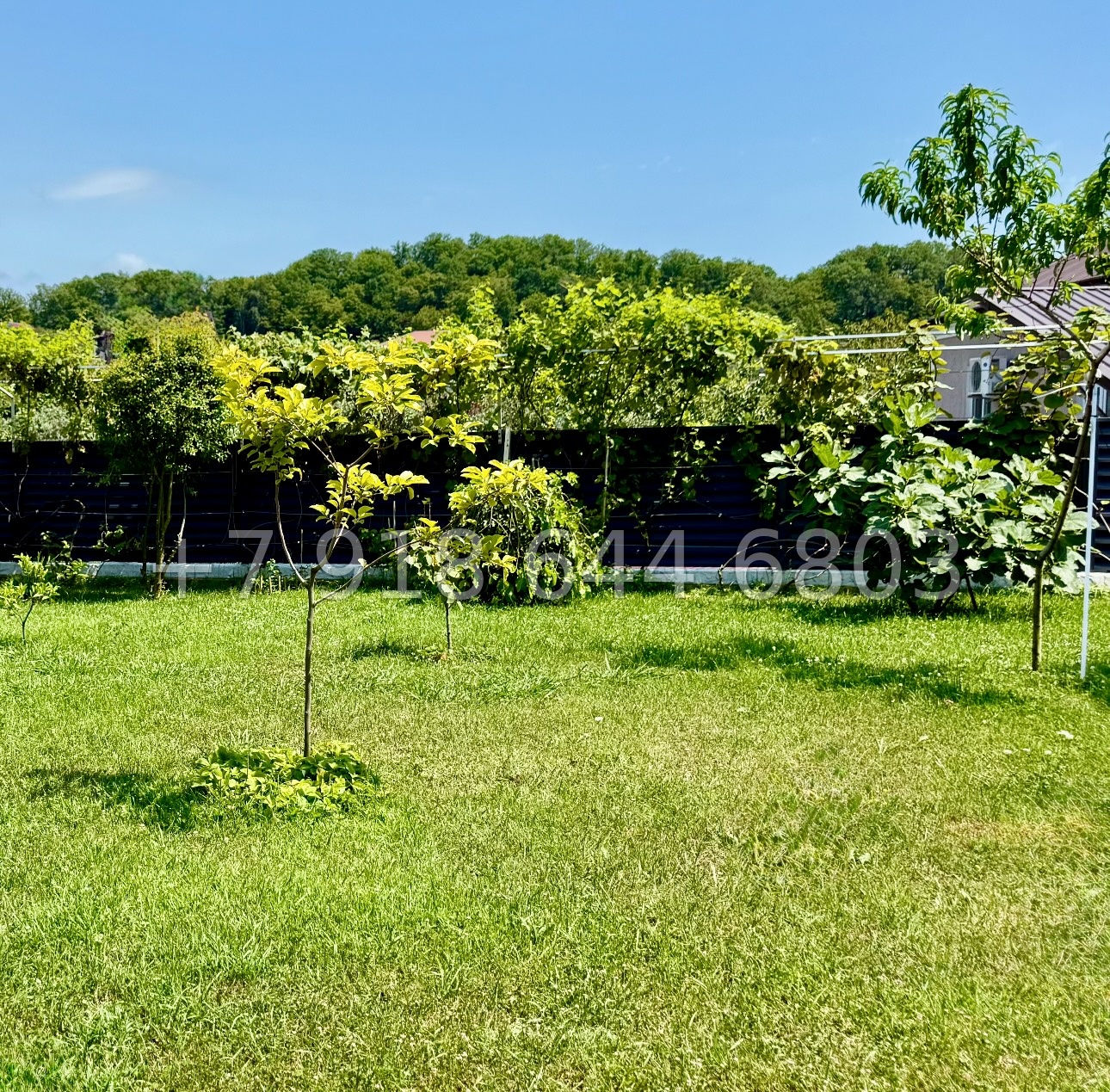 № 3 В. Дом с ремонтом в Адлере  - миниатюра 19