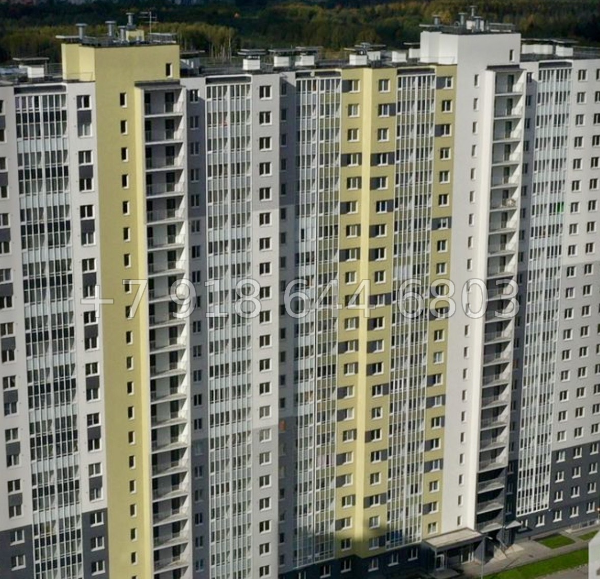 № 105 в. Метро Гражданский проспект. ЖК Цветной город  - миниатюра 6