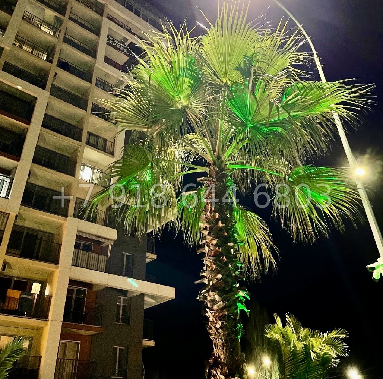 № 506 р. ЖК Каравелла Португалии Сочи Дагомыс  - миниатюра 19