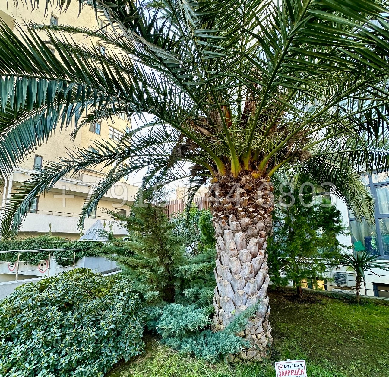 № 337 р. Большая квартира с видом на море в ЖК Огни Сочи - миниатюра 9