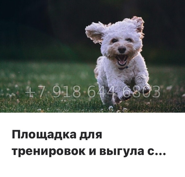 № 86 в. Метро Проспект Ветеранов. ЖК Новатория - миниатюра 12