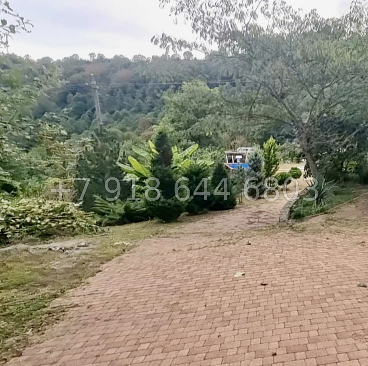 № 72 Б. Дом с озером с карпами в Адлере  - миниатюра 40