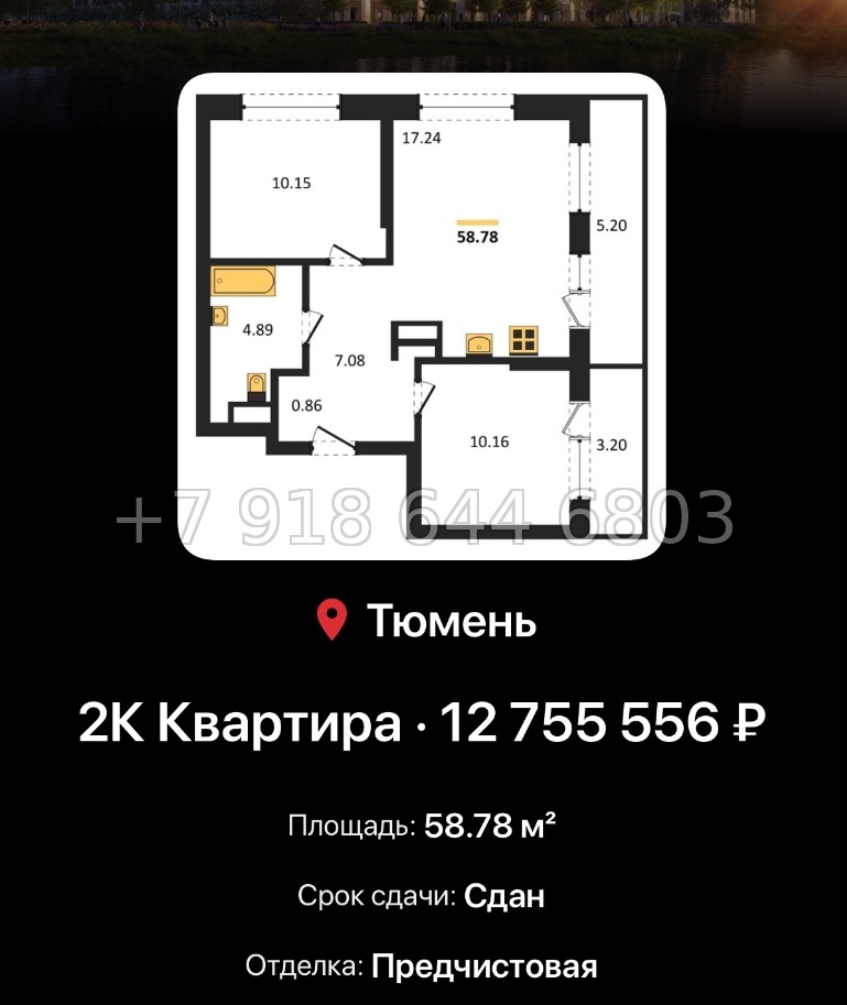 № 3. Европейский берег 2.0 Тюмень  - миниатюра 49